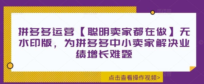 拼多多中小卖家业绩翻倍秘籍 聪明卖家都在用-九零创业网