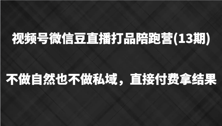 视频号豆直播付费速成 13期打品陪跑 高效拿结果-九零创业网