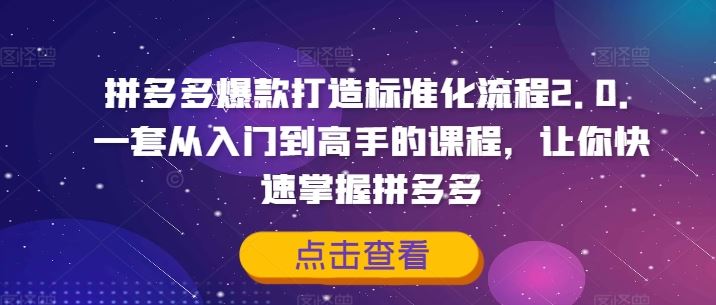拼多多爆款打造大师课 入门到精通 快速制胜攻略
