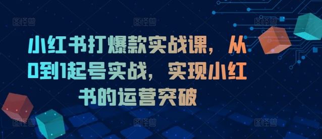 小红书爆款起号实战课 从零开始 运营突破攻略-九零创业网