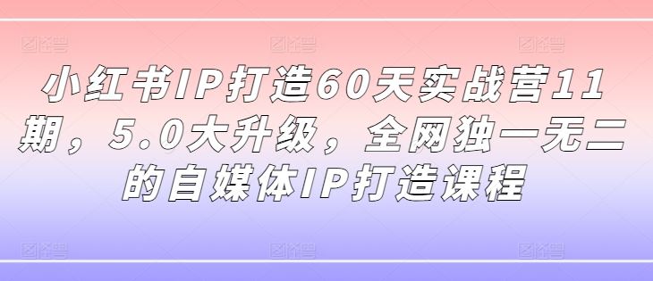 小红书IP实战营11期升级版 5.0打造独门自媒体秘籍-九零创业网