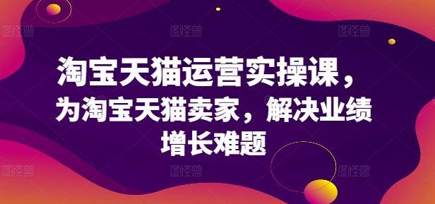 淘宝天猫运营秘籍 业绩翻倍增长攻略