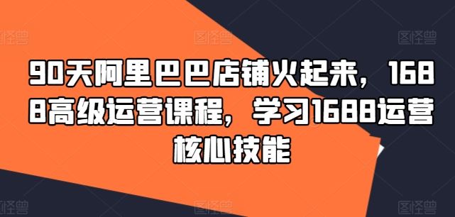 90天1688店铺爆火 掌握核心技能 1688高级运营课程速成-九零创业网