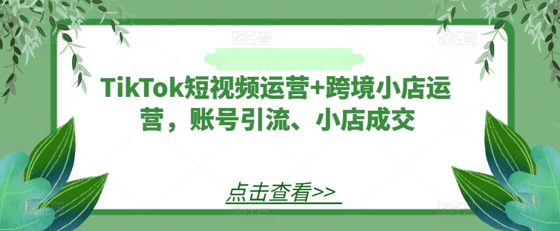TikTok跨境引流 小店成交新攻略-九零创业网