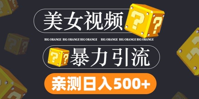 全网搬运tk美女视频 日吸s粉300+ 轻松变现无封号