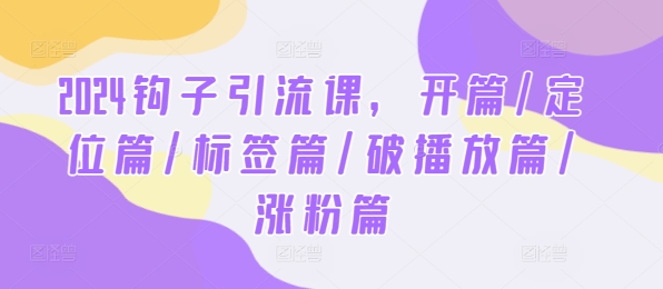 2024钩子引流课 新标签 破播放 涨粉秘籍一网打尽