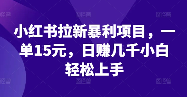 小红书拉新项目 日赚千元 新手15元/单 轻松上手-九零创业网