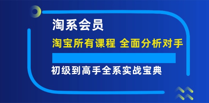 12055期淘系会员 淘宝课程全面解析 实战高手秘籍