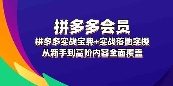 拼多多会员实战攻略 新手进阶 实操落地全解析-九零创业网