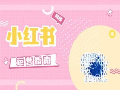 小红书运营真经 实用技巧一网打尽