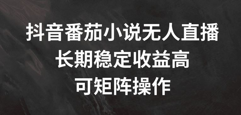 抖音番茄小说无人直播 矩阵操作 稳赚收益秘籍-九零创业网