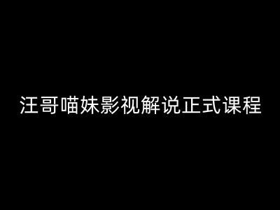 汪哥影视解说课程 剪映/PR剪辑技巧 五大法则+七大利器全解析