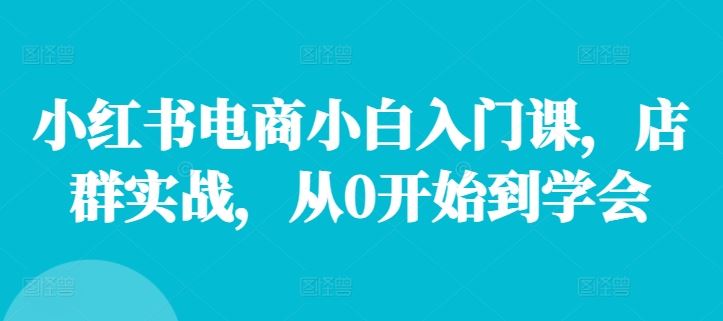 小红书电商小白速成 店群实战 从零起步-九零创业网