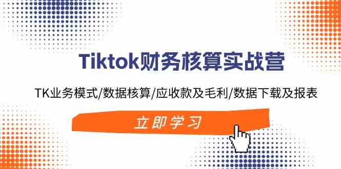 TikTok财务核算实战 解析业务 数据与盈利策略