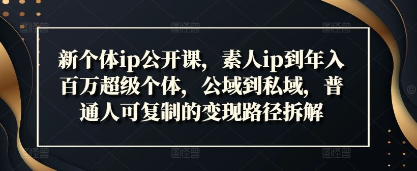 素人IP变百万达人 公域私域变现攻略速成-九零创业网