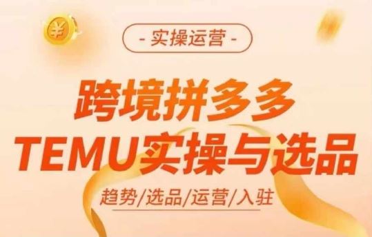 跨境拼多多TEMU选品攻略 实操运营技巧揭秘-九零创业网