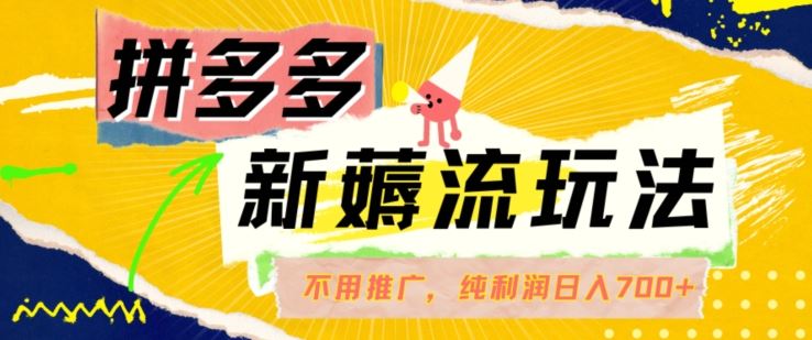 拼多多无推广日入700 揭秘自然流量赚50+攻略-九零创业网
