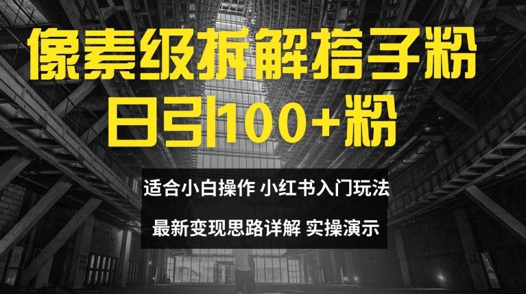 像素级拆解搭子粉 日增百粉 小白速学变现技巧-九零创业网