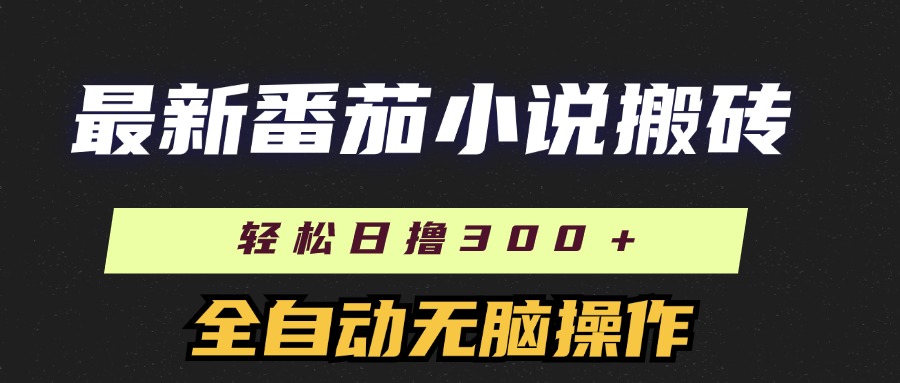 11904期番茄小说搬砖达人 日撸300+ 全自动矩阵放大攻略