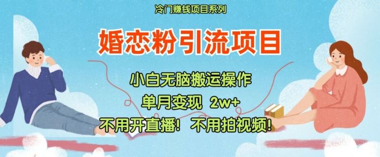 小红书婚恋粉轻松引流秘籍 无需直播 视频 交付