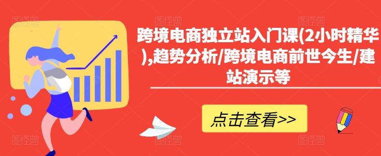 跨境电商独立站速成 趋势解析+建站实操2小时精华课