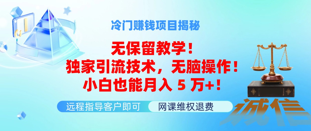 揭秘冷门高收益项目 小白轻松月入5万+引流秘籍-九零创业网