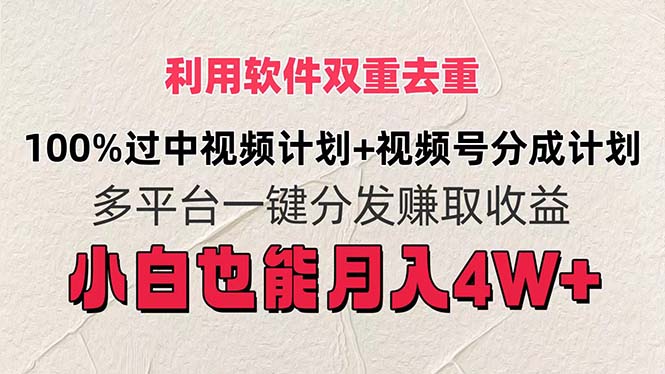 软件双重去重 小白轻松月入4W+ 视频号分成攻略-九零创业网
