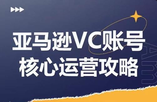 亚马逊VC账号核心策略与产品运营技巧 GMV利润双提升-九零创业网