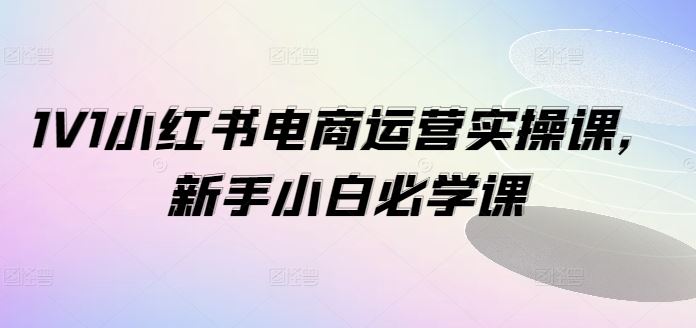 小白必看 1V1小红书电商运营实操课 轻松入门
