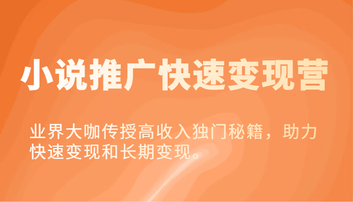 小说变现大师课 大咖揭秘高收益变现策略-九零创业网