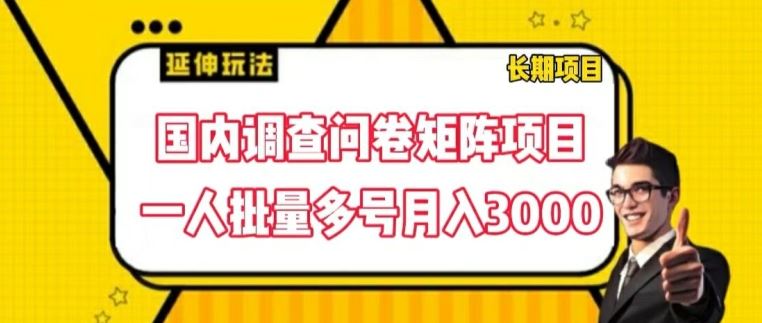 揭秘 一人力拓问卷矩阵 月入3000多号秘诀-九零创业网