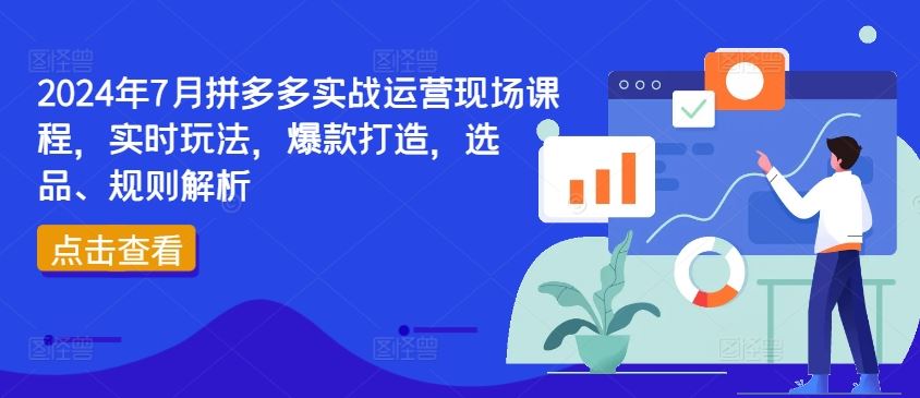 2024拼多多实战课 爆款秘籍 选品攻略 规则全解析