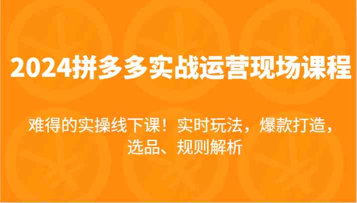 2024拼多多实战课 爆款打造秘籍 实操精选 现场解锁-九零创业网