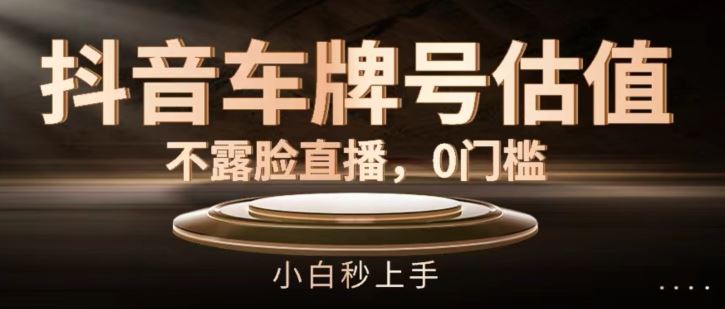 抖音车牌估值直播 零门槛 小白轻松上手-九零创业网