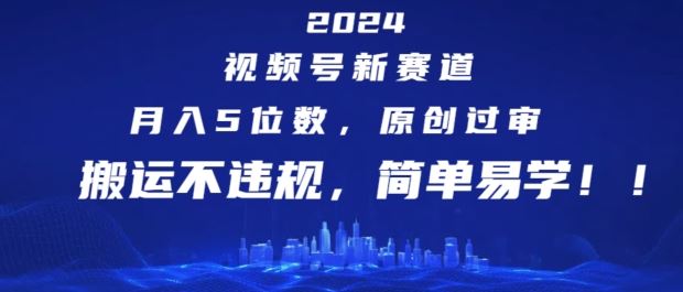 2024视频新风口 月入5万+ 原创过审 轻松搬运 揭秘捷径-九零创业网