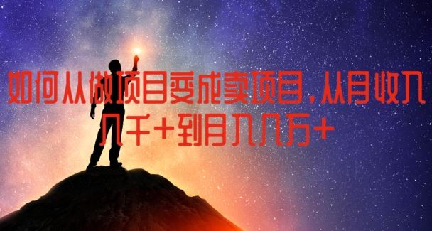 从项目实操到盈利转化 月入飞跃秘籍-九零创业网