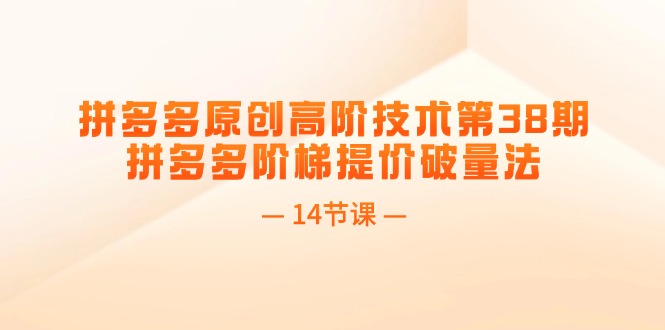 拼多多第38期 揭秘阶梯提价策略 14节课助你破量提升-九零创业网