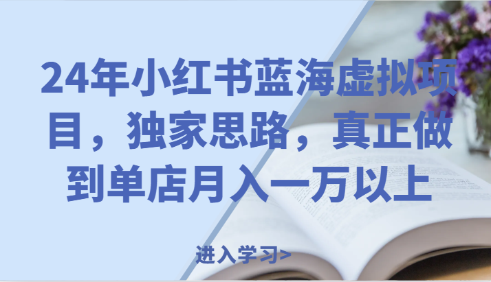 2024年小红书虚拟项目 独门秘籍 单店月入过万-九零创业网