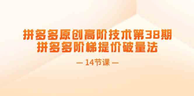 拼多多第38期 揭秘阶梯提价策略 14节课助你破量增长-九零创业网