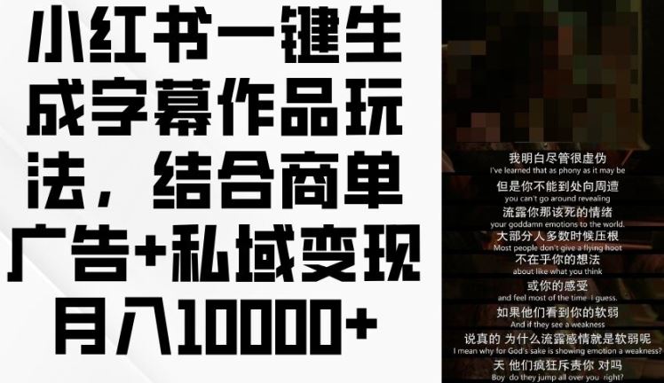 小红书字幕神器 广告变现月入过万 揭秘私域攻略-九零创业网