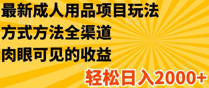 揭秘日入2K+成人用品新玩法 全渠道轻松赚钱-九零创业网