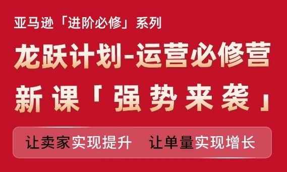 亚马逊龙跃计划 运营必修营 助力卖家销量飞跃