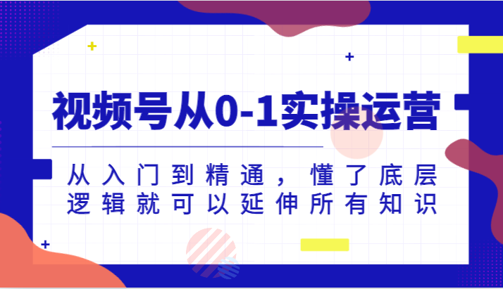 视频号运营全攻略 从入门到精通 2024年最新实战技巧-九零创业网