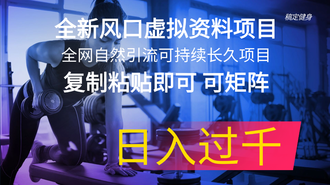 11587期虚拟资料新风口 全网引流矩阵长线项目