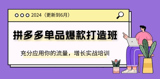 拼多多爆款班 6月更新 实战流量秘籍 打造爆款新高度