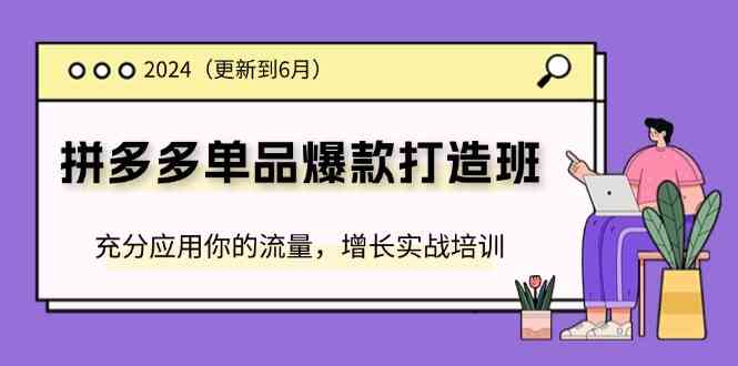 2024拼多多爆款打造班 实战流量增长秘籍 6月更新