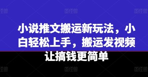 小说推文新玩法 小白速成 视频搬运轻松赚钱-九零创业网