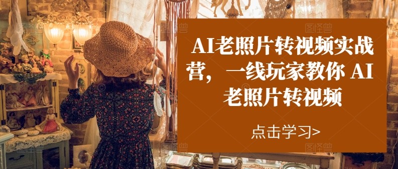 AI老照片转视频 实战训练营 一线高手带你玩转
