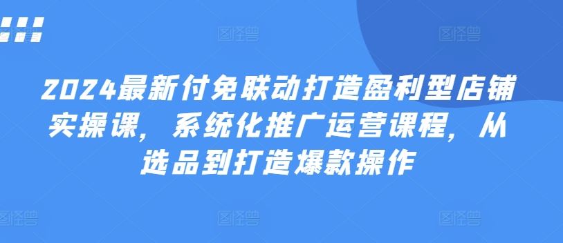 2024爆款打造 系统化选品与运营盈利课