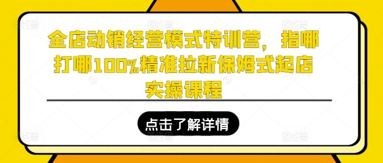 全店动销特训营 精准拉新 保姆式起店实战攻略